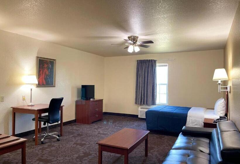 Номер Стандарт Адаптированный для Инвалидов, Candlelight Inn & Suites Hwy 69 Near Mcalester