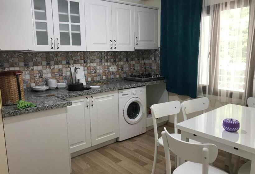 آپارتمان 1 خوابه با چشم‌انداز, Mavi̇ Köşk Uzungöl