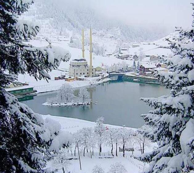 آپارتمان سوپریور 1 خوابه, Mavi̇ Köşk Uzungöl