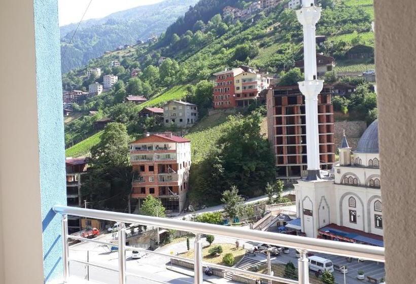 آپارتمان سوپریور 1 خوابه, Mavi̇ Köşk Uzungöl