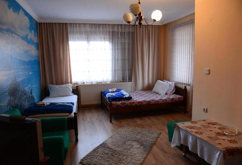 Номер Стандарт, Delieva House