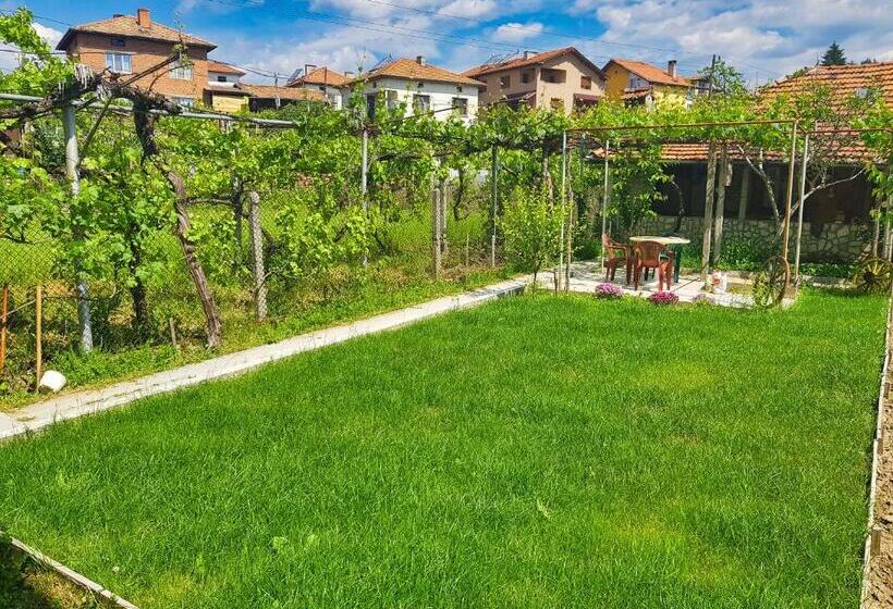 Номер Стандарт, Delieva House