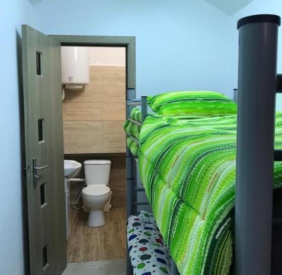 استودیوی استاندارد, Regim Hotelier Pietonală