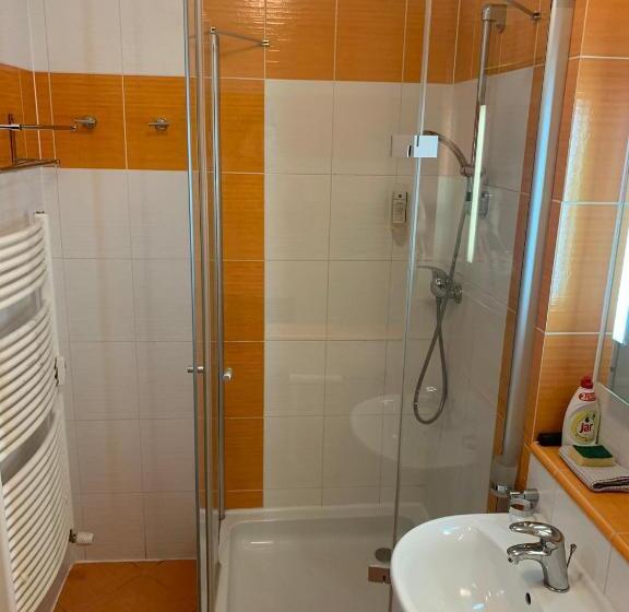 스탠다드 룸, Wellness & Spa Apartments Lipno   Frymburk