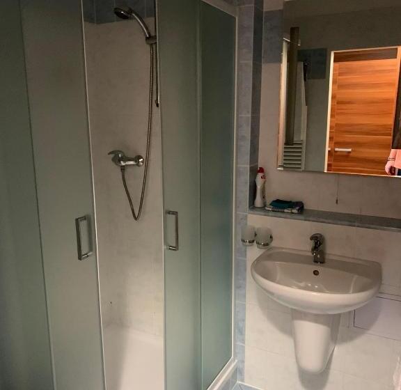 Номер Стандарт с Балконом, Wellness & Spa Apartments Lipno   Frymburk