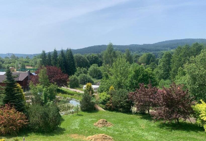 Номер Стандарт Вид на Озеро, Wellness & Spa Apartments Lipno   Frymburk