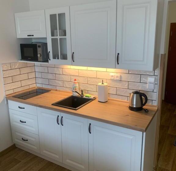 Номер Стандарт Вид на Озеро, Wellness & Spa Apartments Lipno   Frymburk