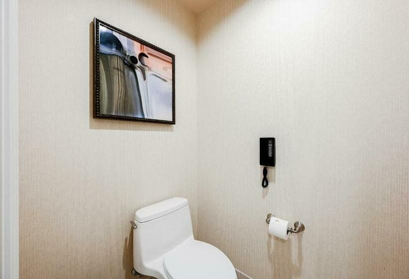 استودیوی استاندارد, Stripviewsuites At Signature