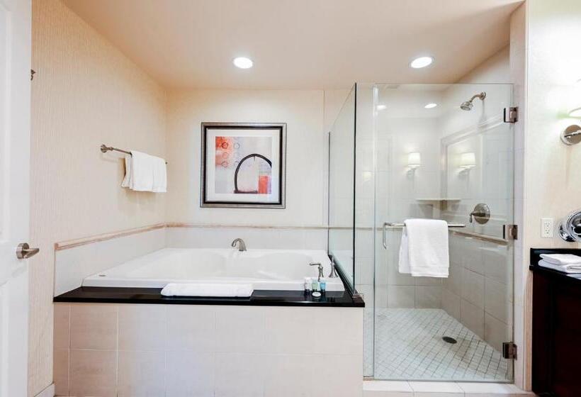 استودیوی استاندارد, Stripviewsuites At Signature