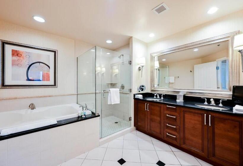 استودیوی استاندارد, Stripviewsuites At Signature