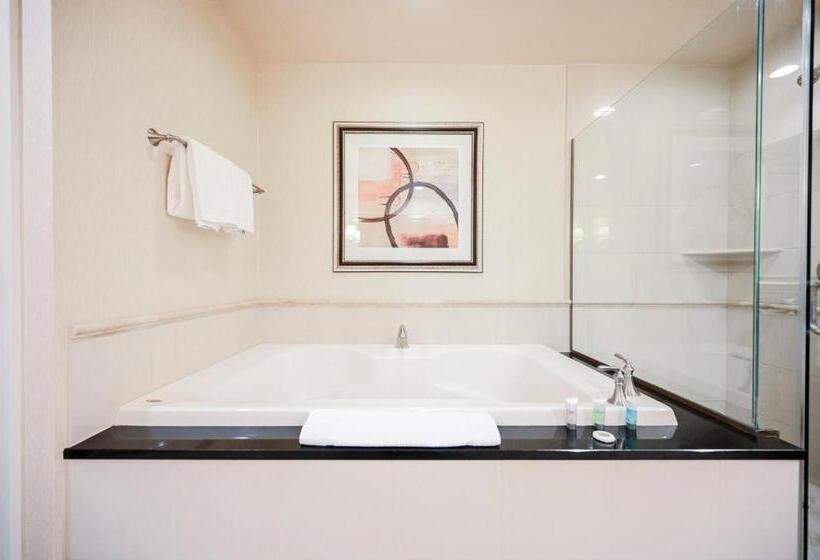 آپارتمان 1 خوابه, Stripviewsuites At Signature