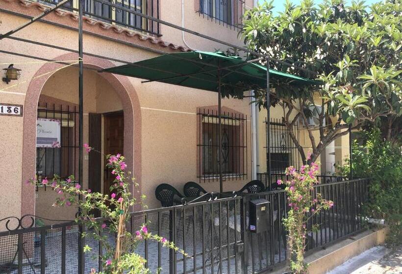 Family Suite, Casa Phoenix Bed & Breakfast