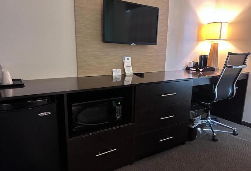 带2个双人床的标准工作室, Sleep Inn & Suites Gulfport