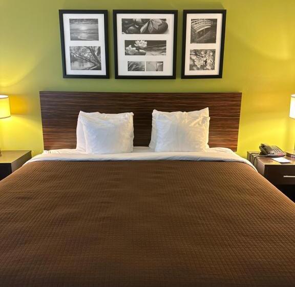 带大床的标准间, Sleep Inn & Suites Gulfport