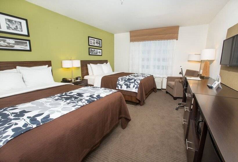 带2个双人床的标准工作室, Sleep Inn & Suites Gulfport