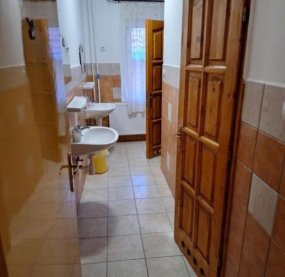 اتاق خانوادگی, Fenyő Panzió