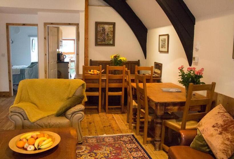 스탠다드 룸, James John Hamilton House And Backpacker Hostel
