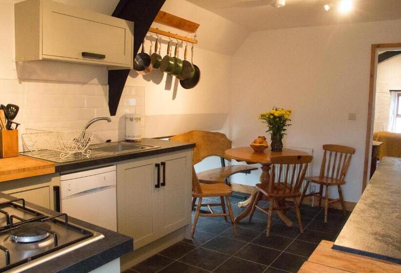 기본룸, James John Hamilton House And Backpacker Hostel