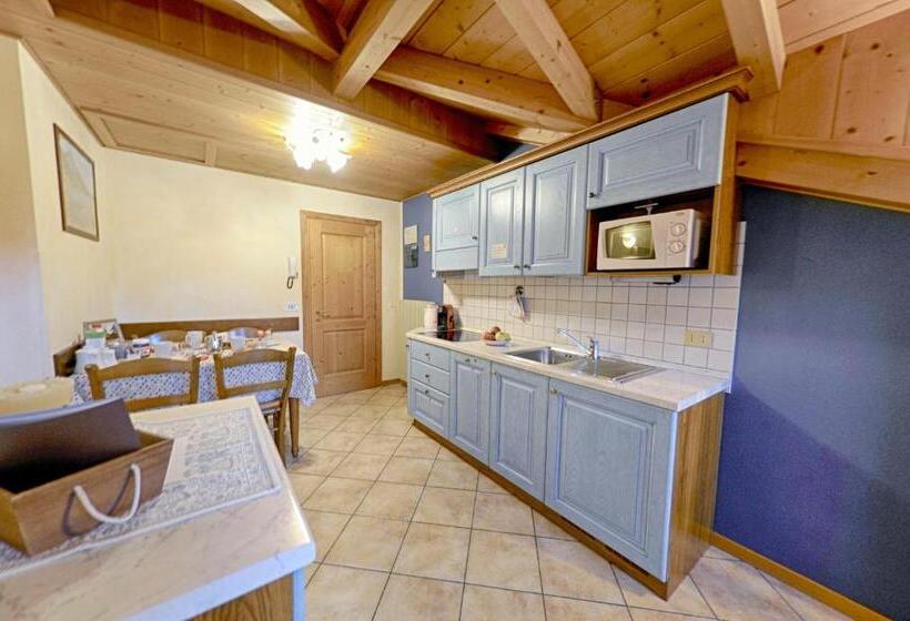 آپارتمان 1 خوابه با چشم‌انداز, Rosengarden Alpine Residence