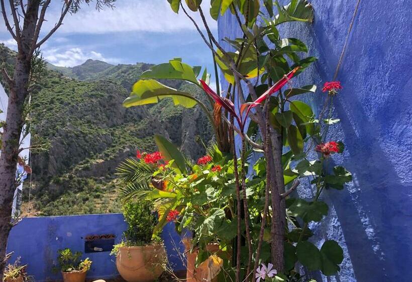 Quarto Triplo Estandar, Dar Onsar