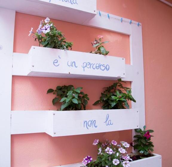اتاق استاندارد, Bianca's Rooms