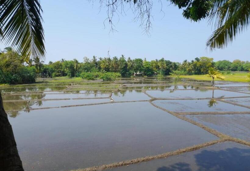 Номер Deluxe, Man Guest Polonnaruwa