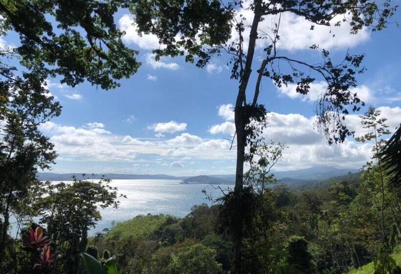 스탠다드 룸 호수 전망, La Ceiba Tree Lodge