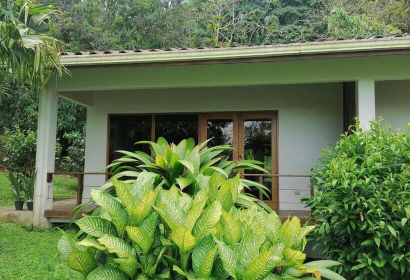 디럭스 룸 호수 전망, La Ceiba Tree Lodge