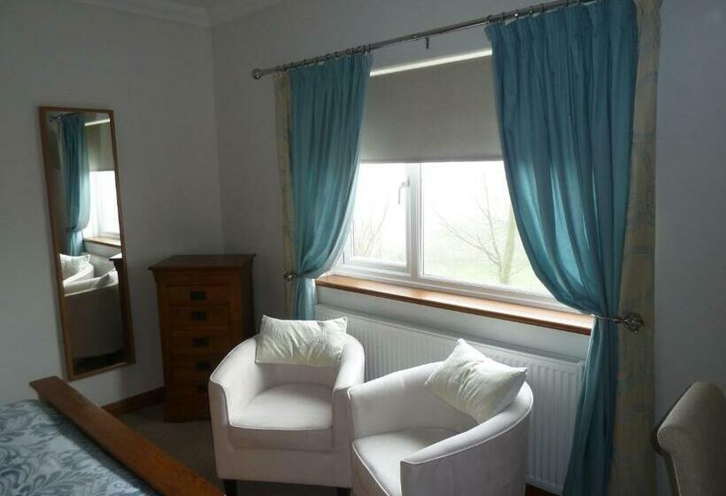 디럭스 룸, Gwynfryn Guest House