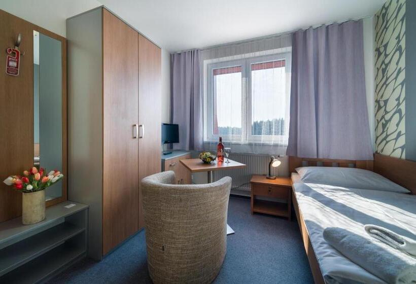 Pokój Standard Jednoosobowy, Garni Hotel Třeboň