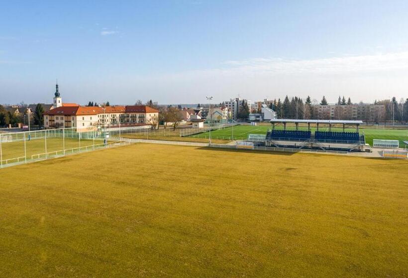 Pokój Standard, Garni Hotel Třeboň