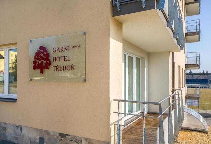 Pokój Standard Trzyosobowy, Garni Hotel Třeboň