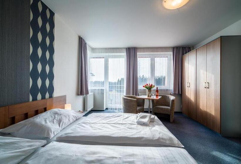 Pokój Standard, Garni Hotel Třeboň
