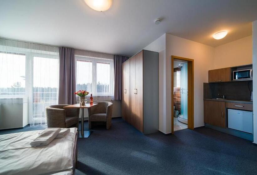 Pokój Standard, Garni Hotel Třeboň