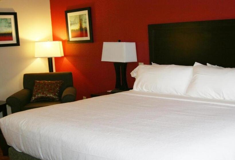 Номер Стандарт Адаптированный для Инвалидов, Holiday Inn Guin, An Ihg
