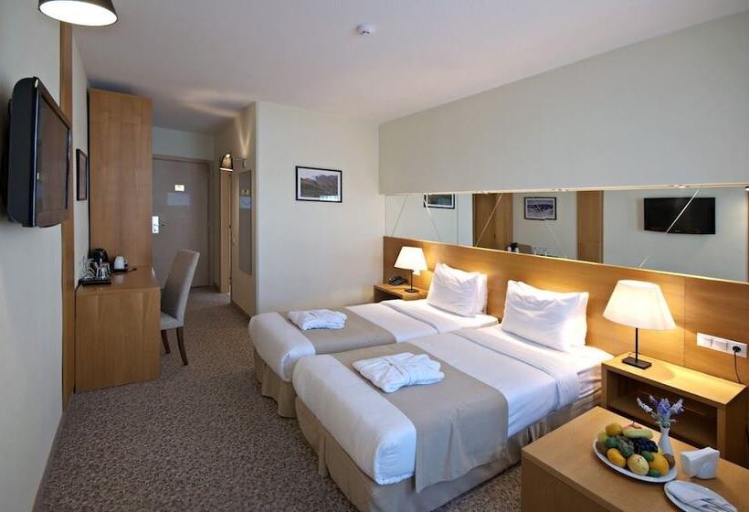 اتاق استاندارد, Marco Polo Hotel Gudauri