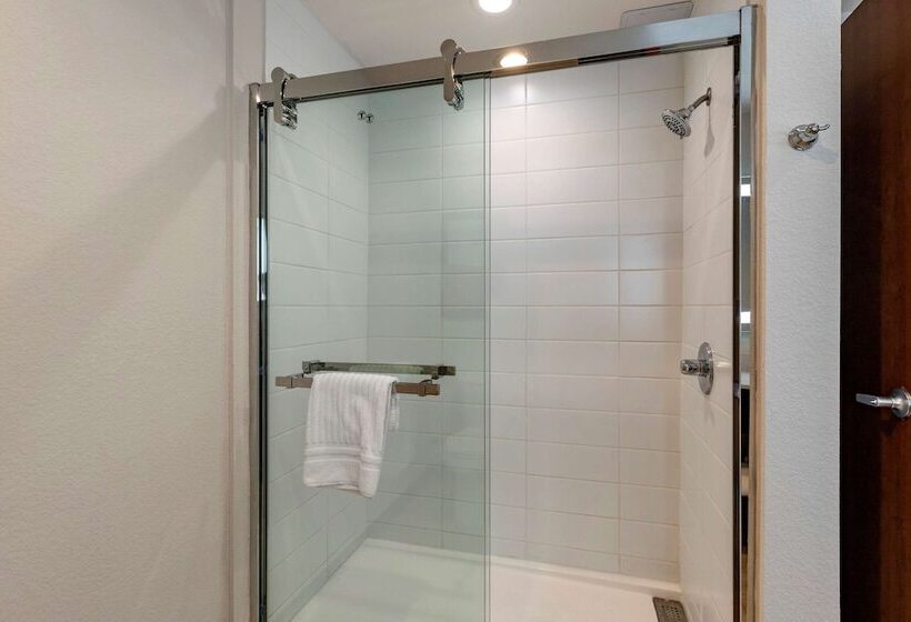 Люкс, Comfort Inn & Suites Bennett