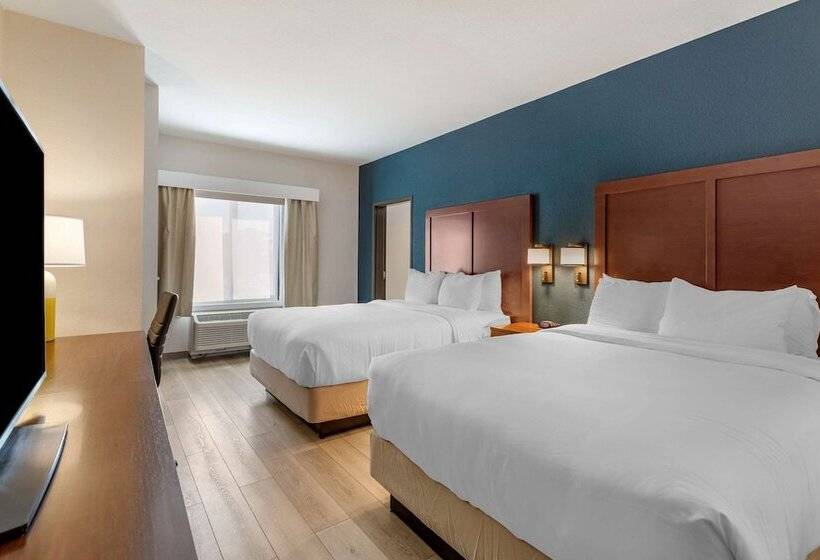 Люкс, Comfort Inn & Suites Bennett