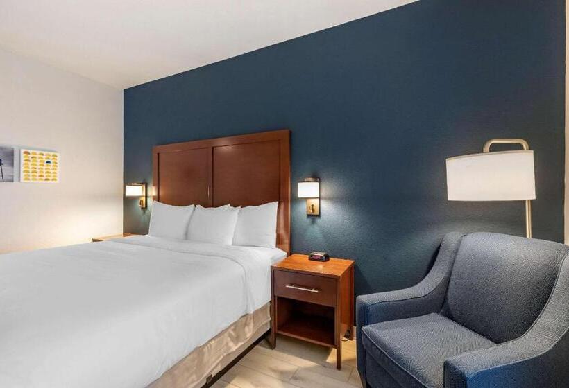 Номер Стандарт Кровать Кинг Адаптированный для Инвалидов, Comfort Inn & Suites Bennett