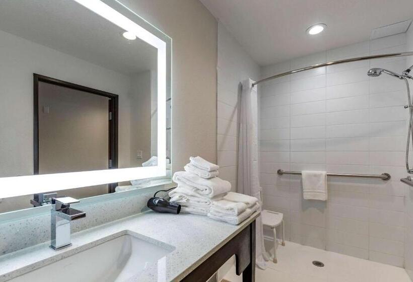 Люкс, Comfort Inn & Suites Bennett