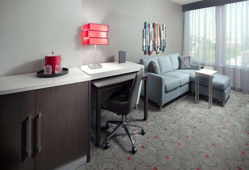 スーペリアースイート, Hyatt Washington Dc/convention Center