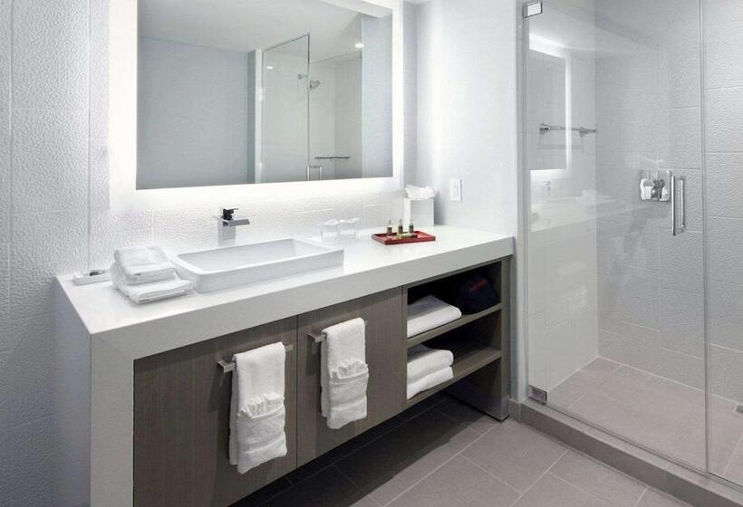 سوییت سوپریور, Hyatt Washington Dc/convention Center