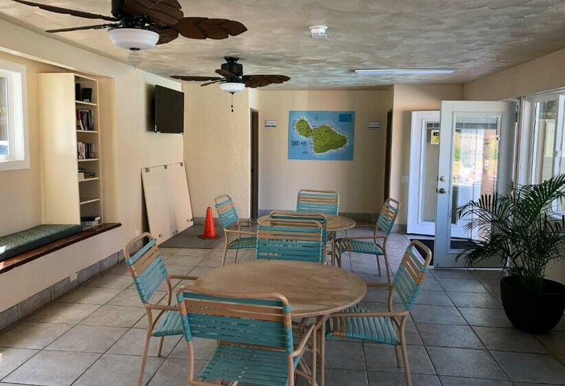 Standart Stüdyo, Maui Kai 507