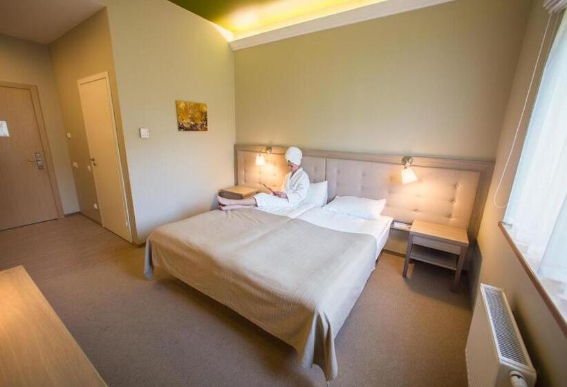اتاق استاندارد با دسترسی به اسپا, Goda Hotel & Spa