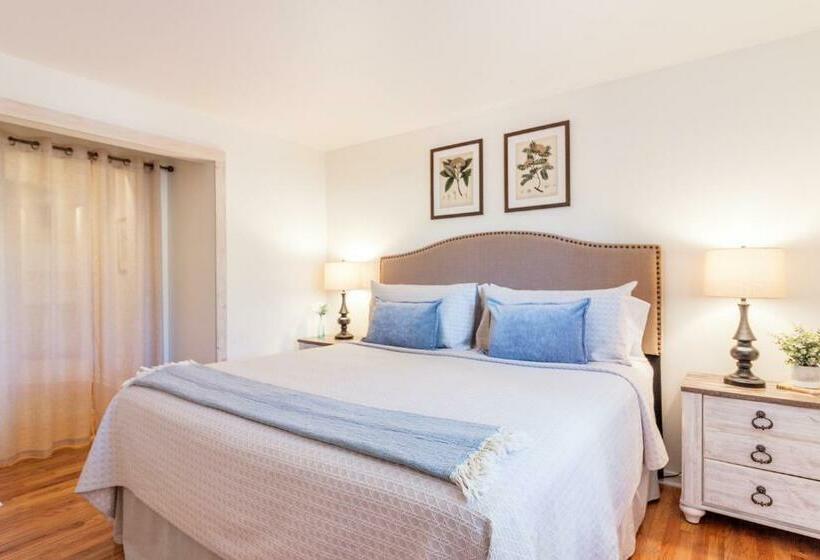 Апартаменты 1 Спальня, All New Historic Charmer In The Heart Of Durango