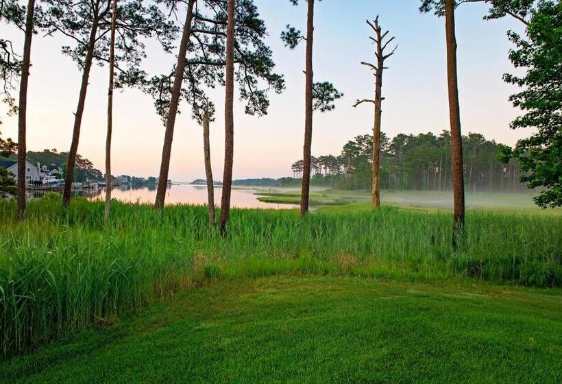 Апартаменты 3 Спальни, Bayside Resort     38047 Boxwood Terrace #101
