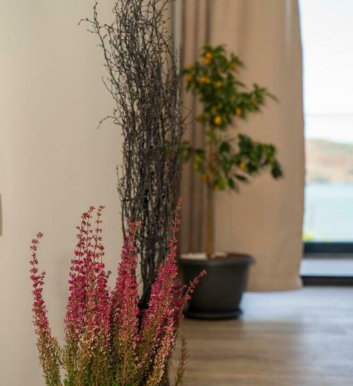 سوئیت با تخت بزرگ, Ansira Fethiye