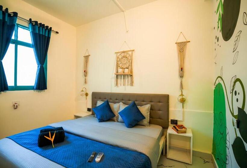 اتاق لوکس, Shalom Backpackers Anjuna Goa