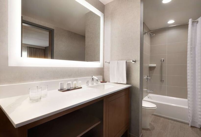 スイート, Embassy Suites By Hilton Chicago Naperville