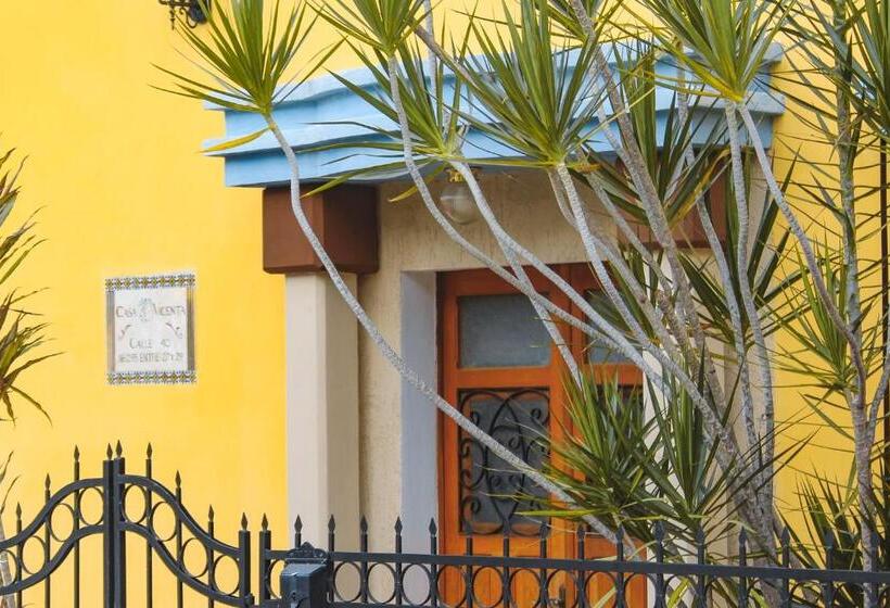 سوییت خانوادگی, Casa Vicenta Izamal